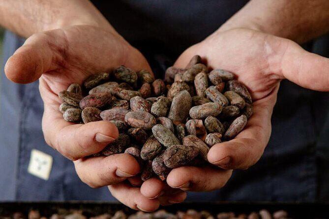 The Turin Chocolate Factory Guided Tour & Tasting - The Itinerary in Detail