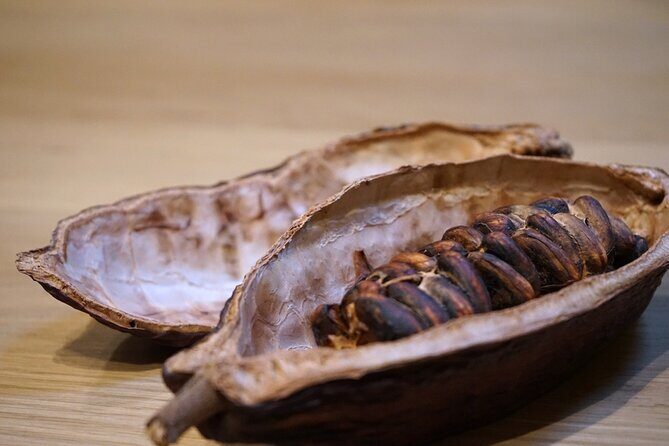 The Turin Chocolate Tasting Experience - Final thoughts