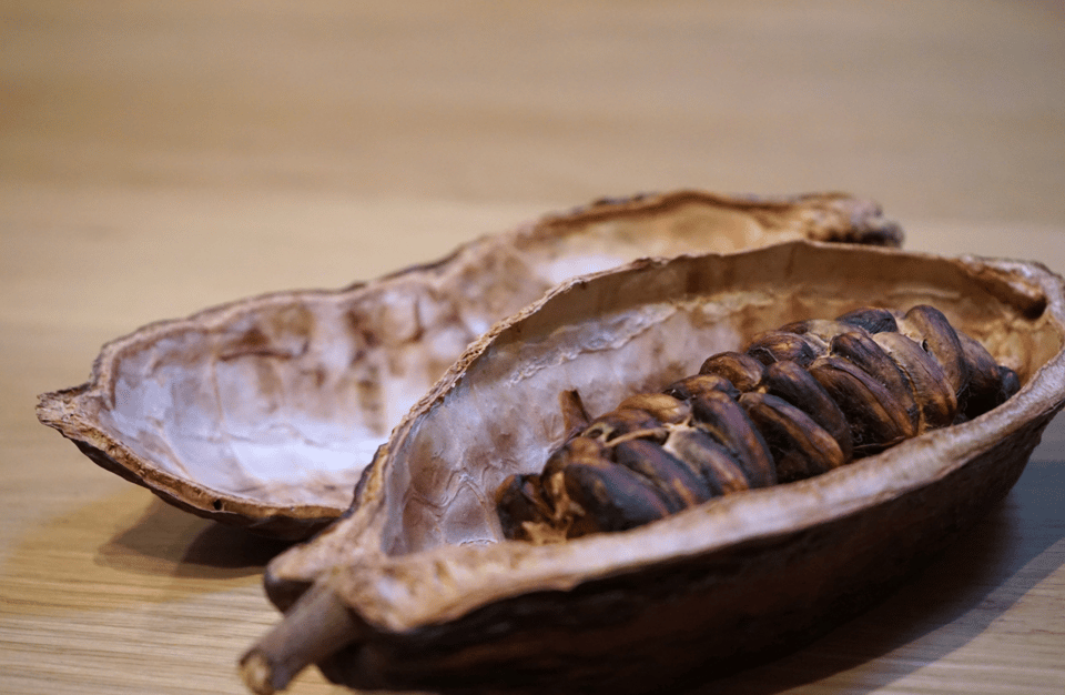 The Turin Chocolate Tasting Experience - Ask Away