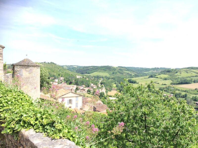 The Two Beautiful Cities of Albi and Cordes Sur Ciel - Culinary Delights in Albi