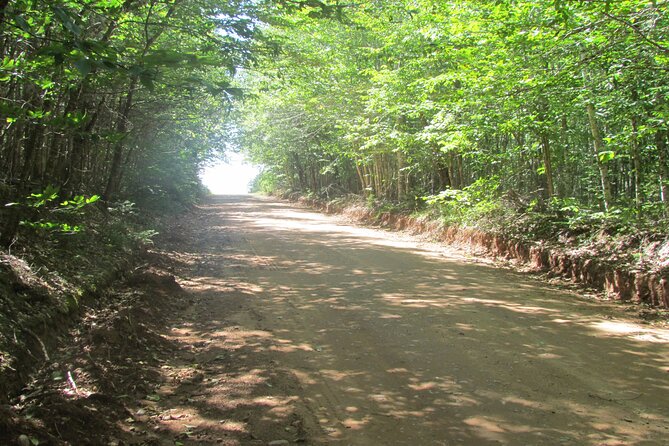 The Ultimate Anne of Green Gables Private Tour - Highly Recommended