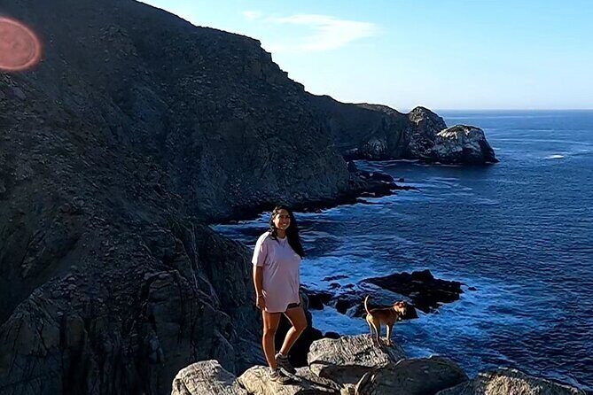 The Ultimate Camel Safari Experience in Los Cabos - A Closer Look at the Camel Safari Experience