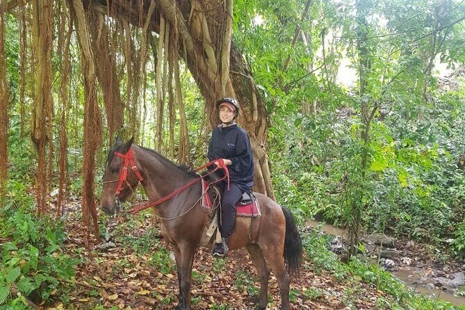 The Ultimate Dominican Horseback Riding Adventure - Key Points