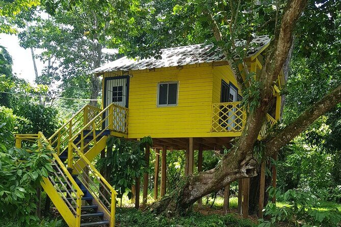 The Ultimate Dominican Horseback Riding Adventure - The Sum Up