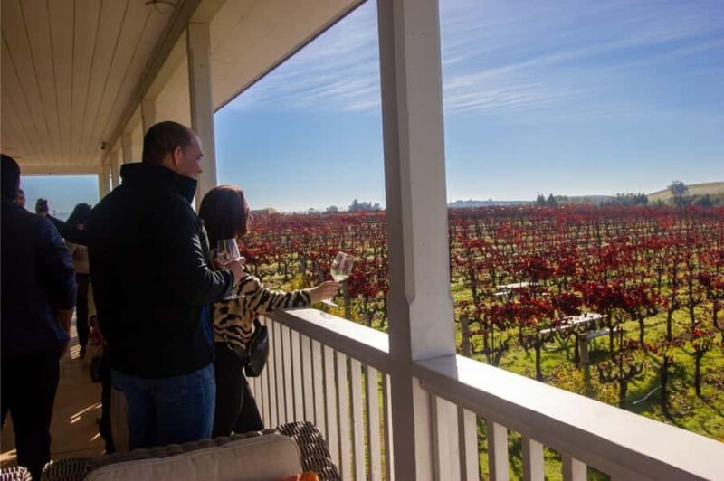 The Ultimate Napa & Sonoma Wine Tour - Authentic Experiences and Authenticity