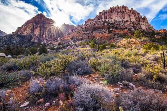 The Ultimate Red Rock Canyon Scenic Experience - Final Thoughts