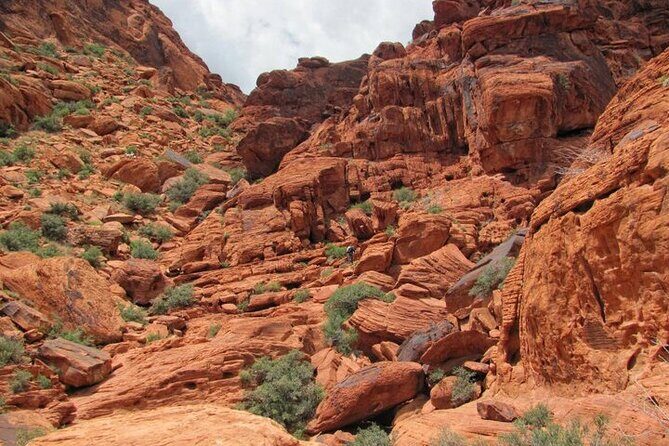 The Ultimate Red Rock Canyon Scenic Experience - FAQ