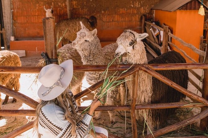 The Ultimate Sacred Valley Tour: 1 Day of Inca History, Lifestyle, Landscapes - Overview of the Sacred Valley Tour