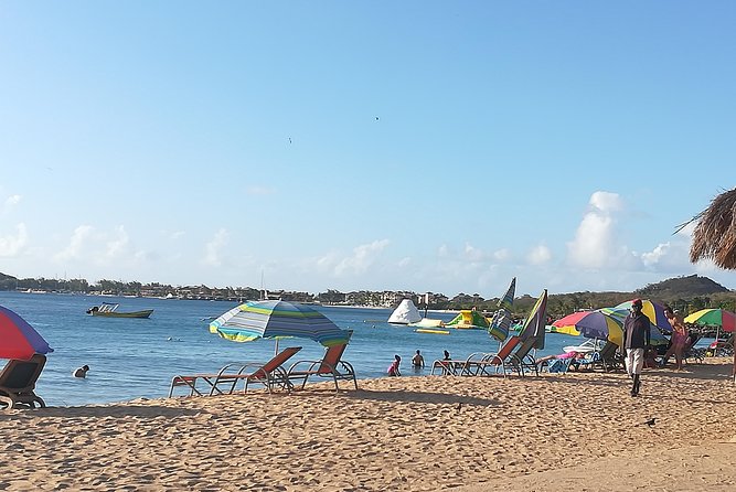 The Ultimate St. Lucian Experience Tour for Cruise Ship Passengers - Cruise Ship Passenger Experiences