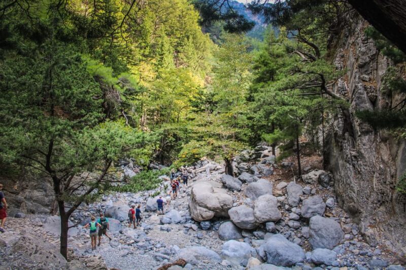 The Unique Tour of Samaria Gorge - The Itinerary in Detail: What You Can Expect