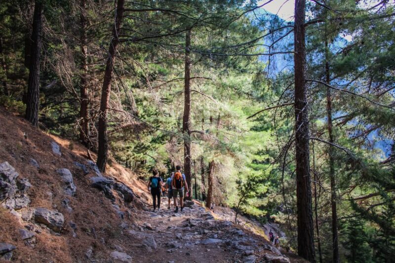The Unique Tour of Samaria Gorge - Value and Practical Insights