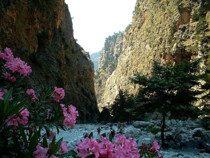 The Unique Tour of Samaria Gorge - The Sum Up