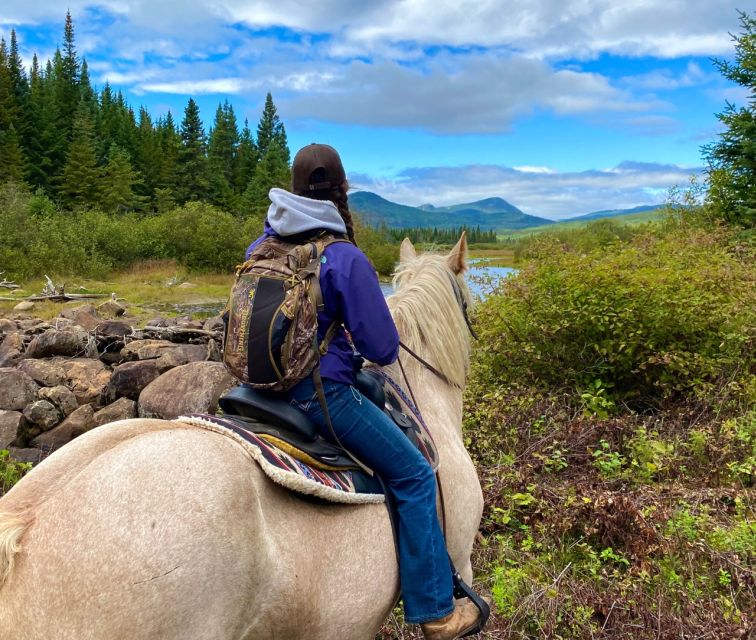 The Valley: a Charming Introduction to Horseback Riding - Frequently Asked Questions