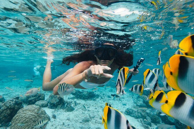 The Vanilla tour of Taha'a in a comfortable outrigger canoe - Exploring Taha’a in Style and Substance