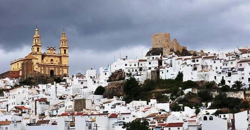 The Villages of Andalusia: Full-Day Trip From Seville - Highlights and Experiences