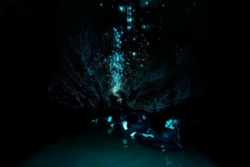 The Waitomo Experience : Okohua Glowworm Cave Tour - Introduction: Worth the Adventure?