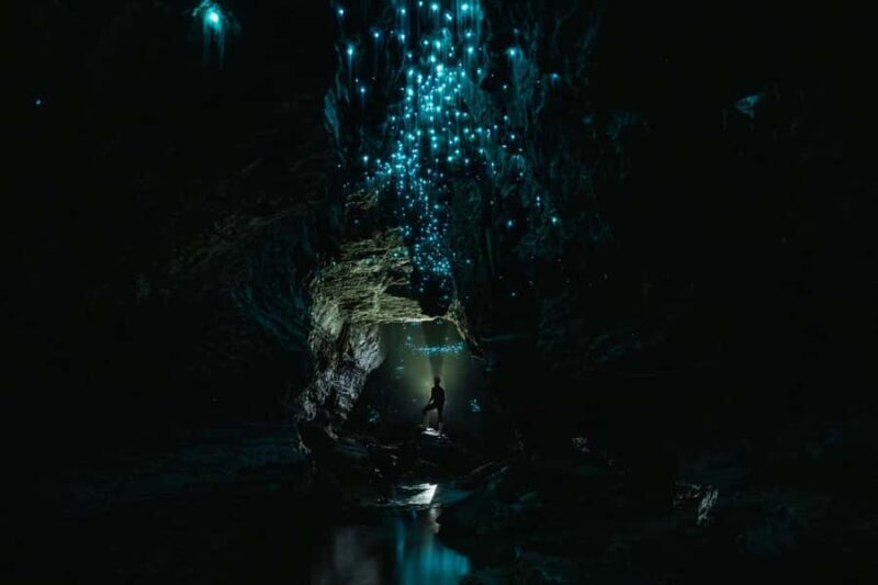 The Waitomo Experience : Okohua Glowworm Cave Tour - Reviews in Their Own Words