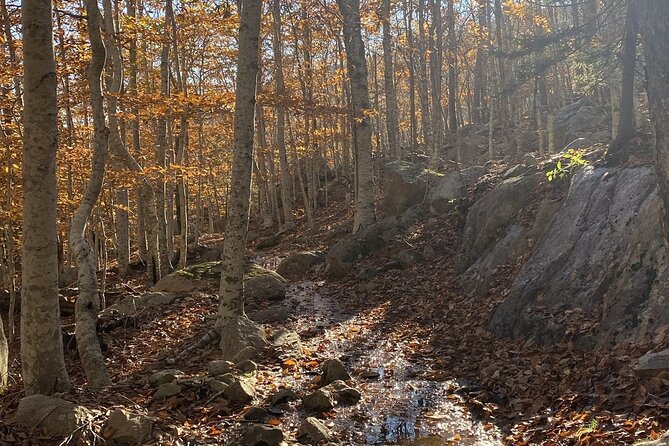 The Way Life Should Be: 4-hr, Private Guided Tour of Acadia NP. - Frequently Asked Questions