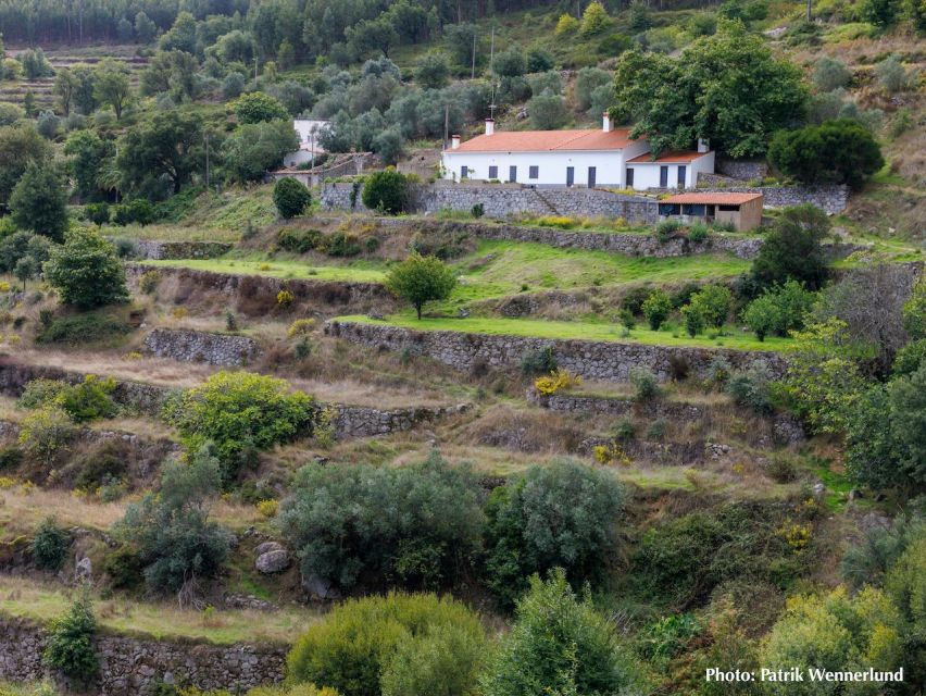The Western Wild Algarve With a Luxury Picnic and Extra Wow - Luxury Picnic Overlooking Breathtaking Views