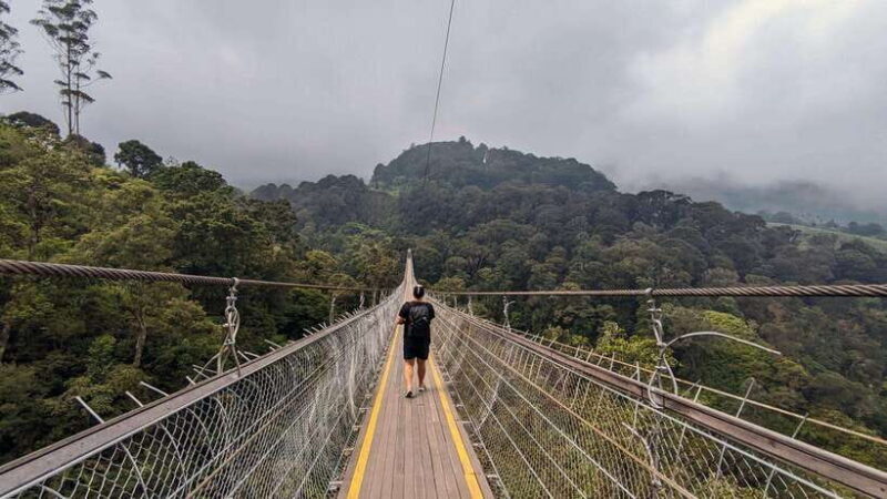 The White Crater, Lake, Suspension Bridge, & Hotspring Tour - A Practical Guide to the White Crater, Lake, Suspension Bridge, & Hot Spring Tour
