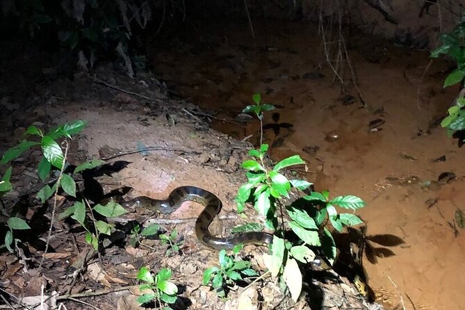 The Wild Adventure 4 Days Green Wild Amazon Expedition - Physical Fitness Requirements