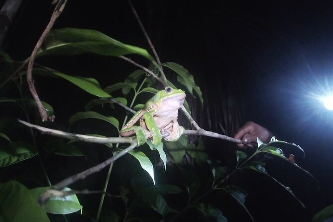 The Wild Adventure 4 Days Green Wild Amazon Expedition - Customer Reviews