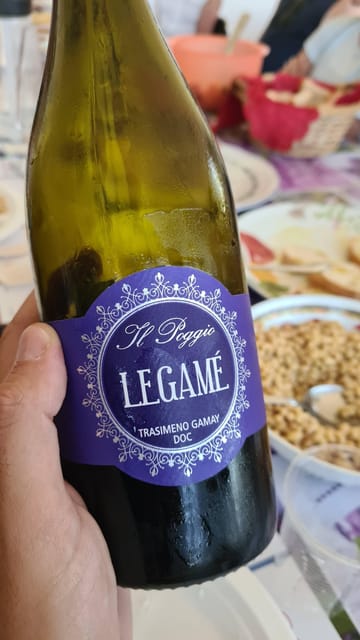 The WINEdering Bike: Private Bike Tour & Wine Tasting - An Inviting Spin Through Umbrian Hills and Wineries: The WINEdering Bike Tour