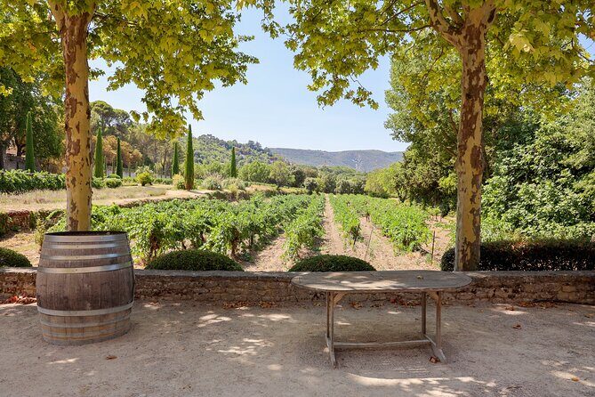 The wines of the Luberon, the Château de Lourmarin & Bastide du Laval olive oil - FAQs