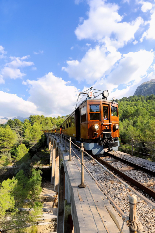 The Wonders of Soller Village at Tramuntana Half Day Tour - Visiting the Natural Science Museum
