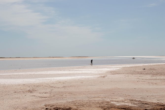 The Wonders of Tunisia: 8 Days / 7 Nights - Traveler Feedback and Testimonials