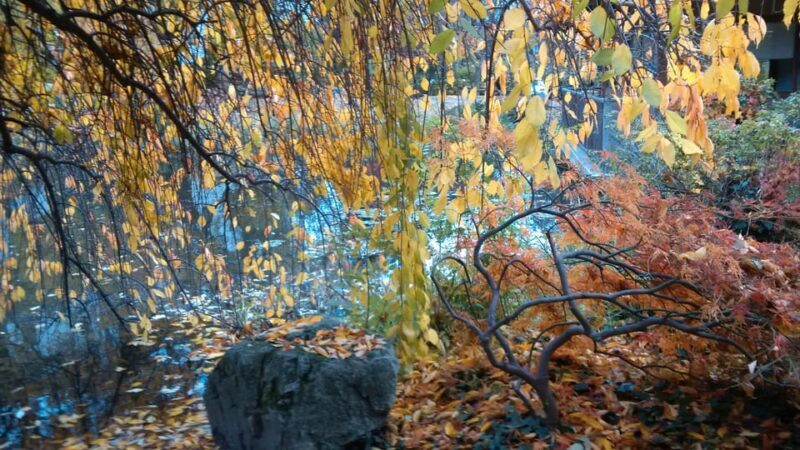 The Wonders of Vienna in a full day - private car tour - Exploring Viennas Outskirts and Hidden Corners