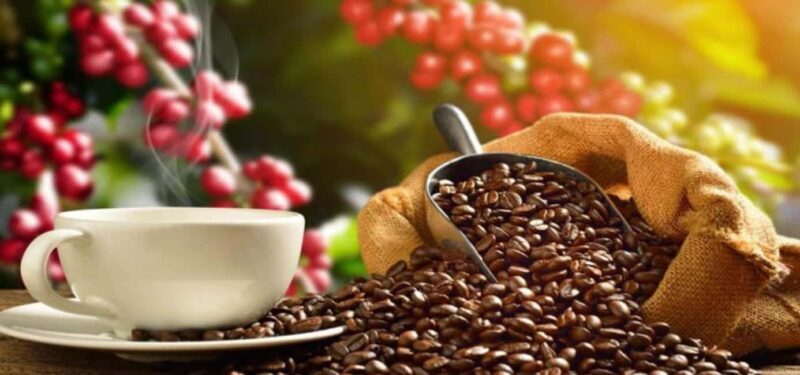 The World of Latte Art: Coffee from the Chiapas Creamy Heart - Authenticity and Value