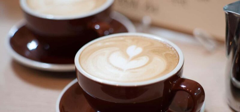 The World of Latte Art: Coffee from the Chiapas Creamy Heart - The Itinerary in Detail