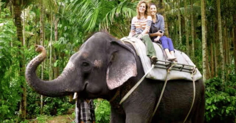 TheActivity that won the Best Tourist Attraction in SriLanka - Key Points
