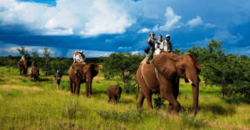 TheActivity that won the Best Tourist Attraction in SriLanka - An Honest Look at the Experience