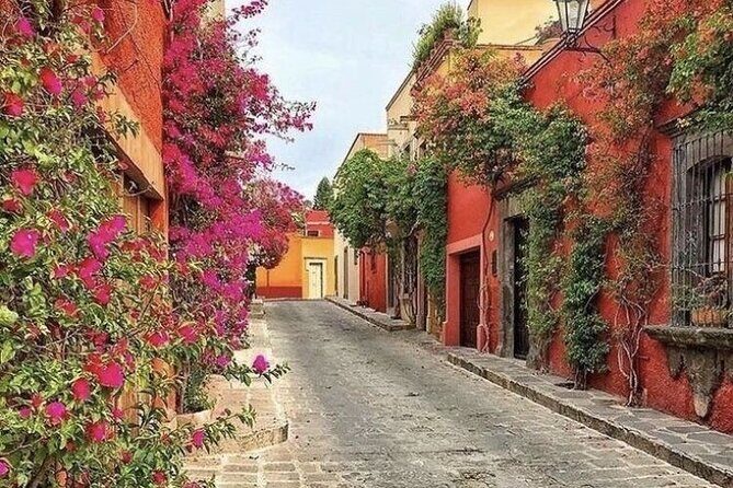 Theatrical Walking Tour of Coyoacan: Day of the Dead Legends - Who Should Consider This Tour?