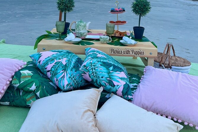 Themed Luxury Picnics in Charleston, South Carolina - Accessibility and Inclusivity