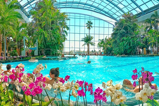Therme Bucharest Tickets and Water Theme Park - Exploring Therme Bucharest: What To Expect