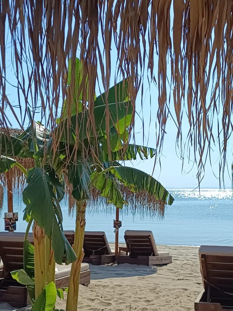 Thessaloniki: Halkidiki Beach-Hopping with Swimming - The Value of the Experience