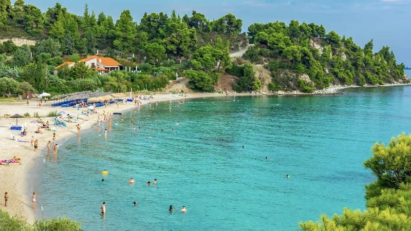 Thessaloniki: Halkidiki/Sithonia Swim, Sunset & Olive Tour - A Closer Look at the Tour Experience