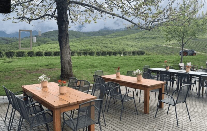 Thessaloniki: Naousa Wine Region Private Day Tour - An Authentic Journey Through Naousa’s Vineyards