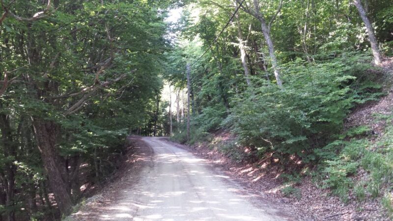 Thessaloniki: Private Mountain and Beaches SUV Safari - What to Bring