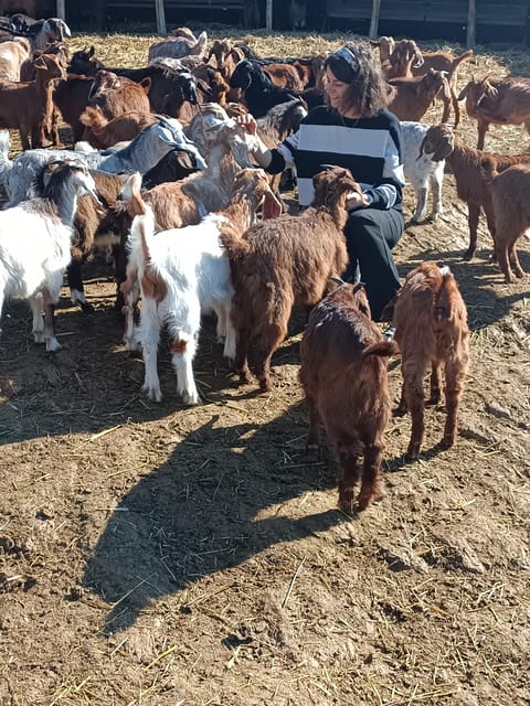 Thessaloniki: Visit a Farm and a traditional Village - Frequently Asked Questions