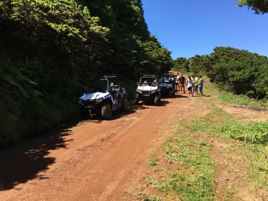 Third: 4x4 Buggy Tour West Side Azores Retreat - Adventure for All