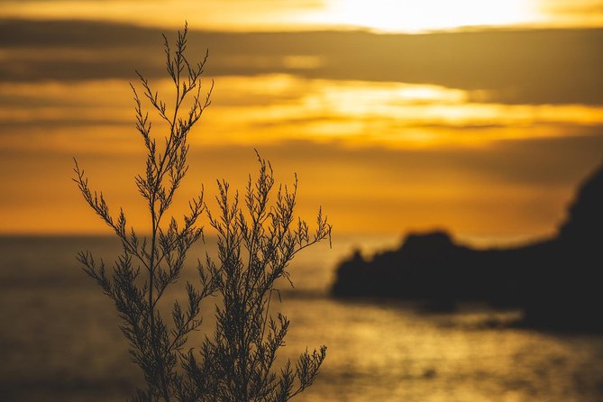 Third Island Photo Tour - Capturing the Islands Scenery