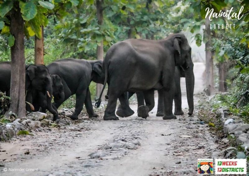 This 2-Day Tiger Safari Tour of Jim Corbett National Park - Inclusions and Pricing