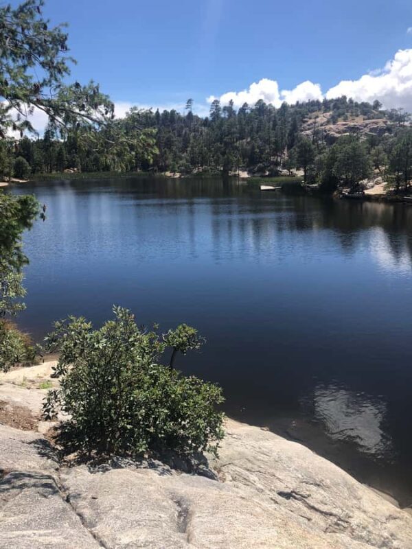 This guid tour lets the customers experience 4 bio zones. - The Overview of the Tour