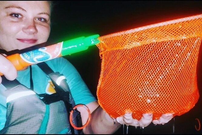 Thousand Islands Mangrove Tunnel & Bio Comb Jelly Sunset Tour - Customer Feedback
