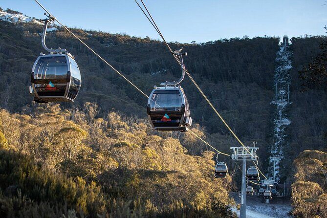 Thredbo or Perisher Bus Trip from Canberra - What Could Be Improved?