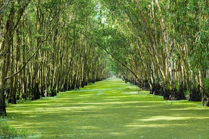 Three-Day Mekong Delta Private Tour - Including Tra Su Bird Sanctuary - Key Highlights